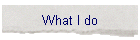 Interests